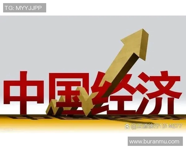 推动全球经济发展：深化进出口贸易合作与创新模式探析