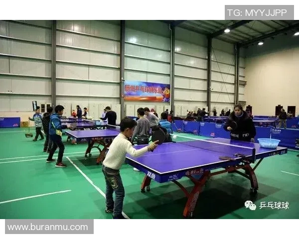 北京乒乓球队技术解析：从基础训练到比赛策略的全面探讨