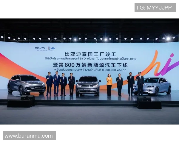 深圳排球队的崛起之路：从默默无闻到大满贯的辉煌历程